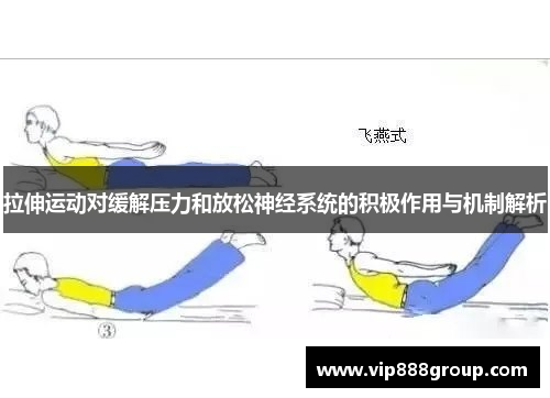 拉伸运动对缓解压力和放松神经系统的积极作用与机制解析