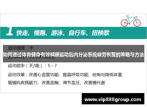 如何通过体育健身有效减缓运动后内分泌系统疲劳恢复的策略与方法